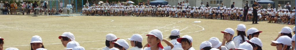 大きいサイズ 水着関連の情報収集